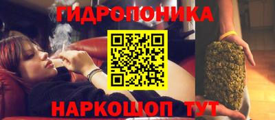 Альфа ПВП Ипатово