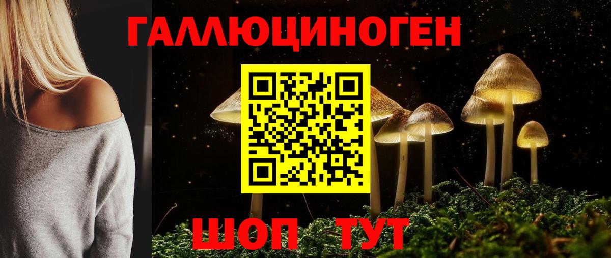 Псилоцибиновые грибы Cubensis Кыштым