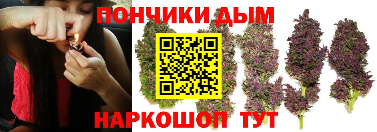 Канабис семена Кыштым
